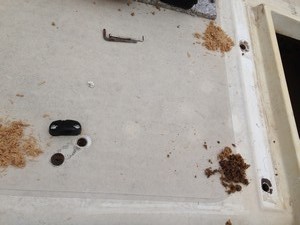 IMG_1223.jpg