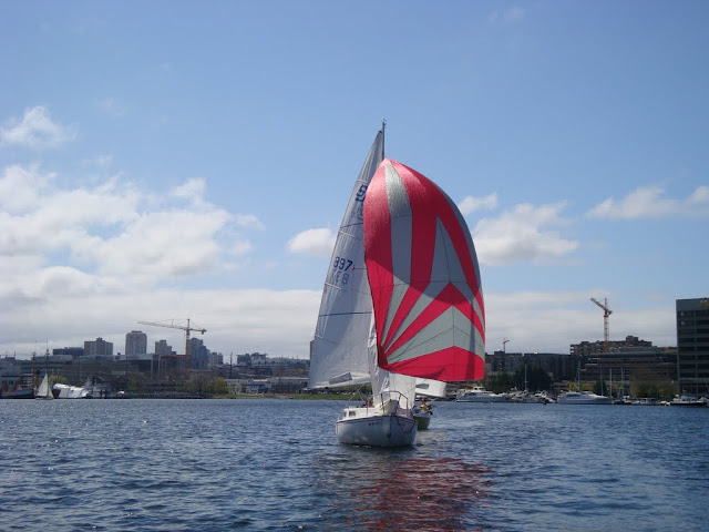 DSC06534.JPG